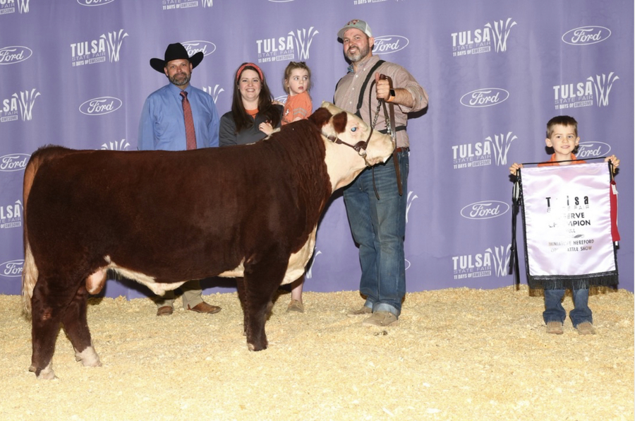 A man wearing a green and orange plaid button-up shirt, jeans, and cap holds the halter of a small, dark red bull with a white face, chest, stomach, and tail in front of a purple back drop that says “Tulsa State Fair”. To the right in the frame is a little boy holding a sign that says “Reserve Champion Bull, Miniature Hereford, Open Cattle Show”. Behind the man and bull are a woman holding a little girl wearing an orange shirt and a man with a blue shirt, red tie, and black cowboy hat.  